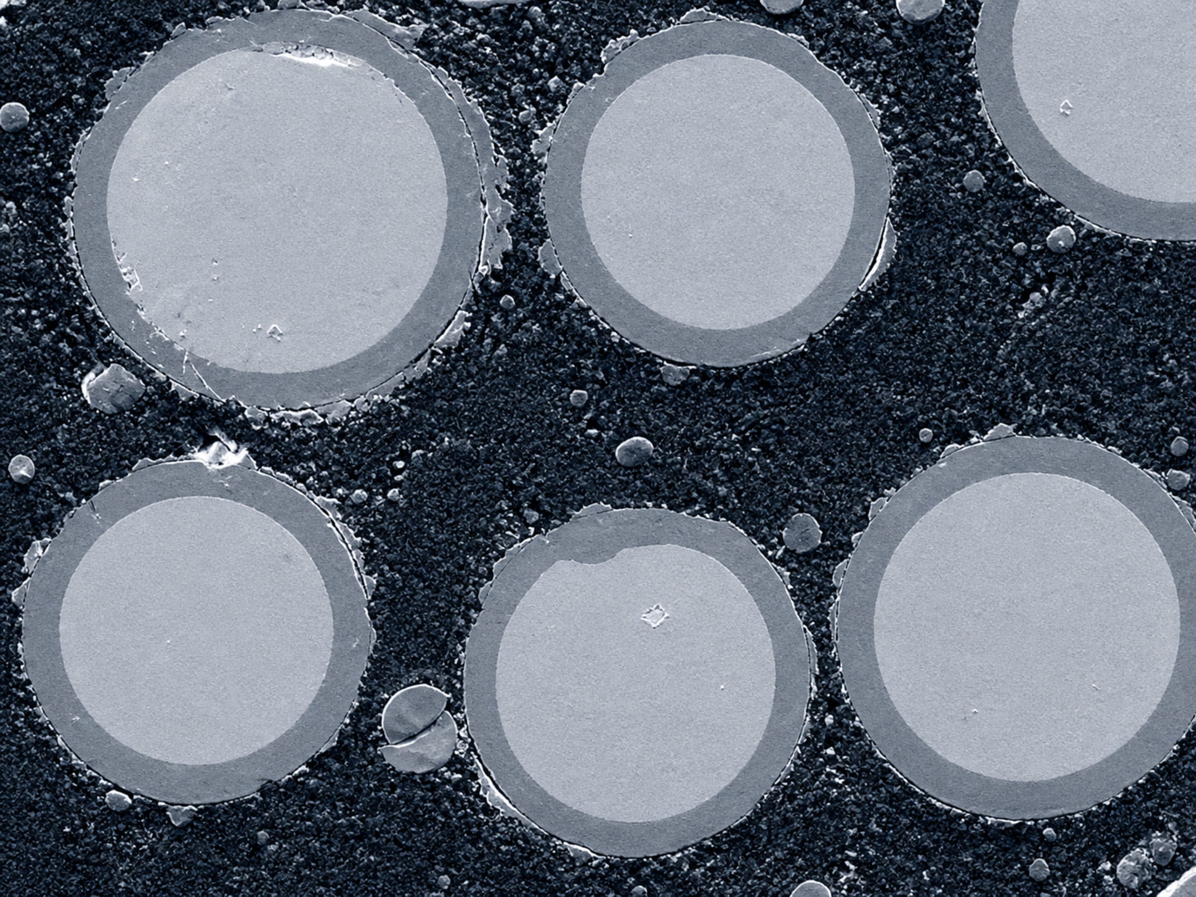 Core-shell powder microscopy image