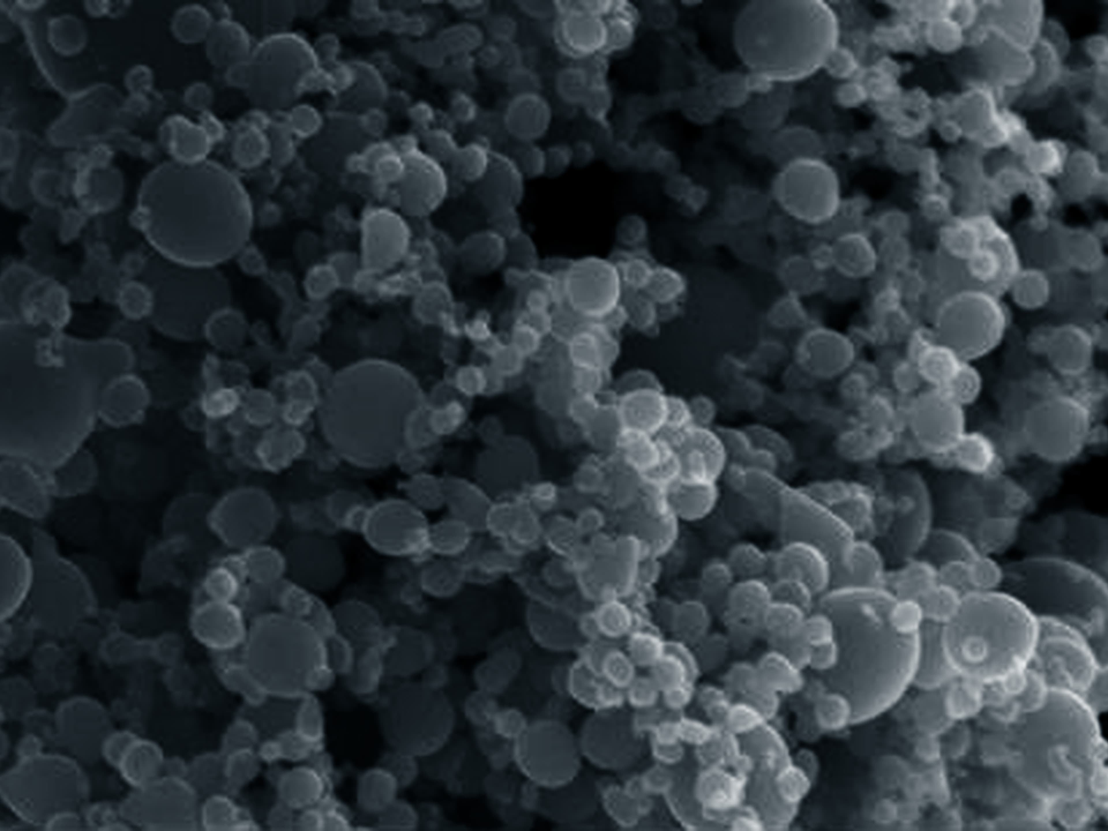 AMMatz AlMg6 nanopowder microscopy image